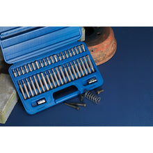 Load image into Gallery viewer, Sealey TRX-Star*/Hex/Spline Bit Set 42pc 3/8&quot; &amp; 1/2&quot; Sq Drive (Premier)
