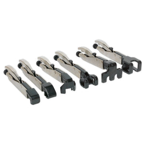 Sealey Axial Locking Grip Set 6pc (Premier)