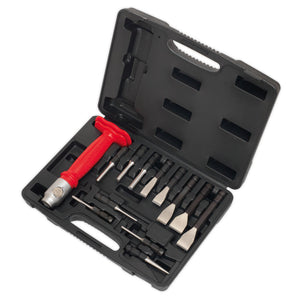 Sealey Interchangeable Punch & Chisel Set 13pc (Premier)