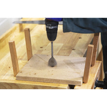 Load image into Gallery viewer, Sealey Woodworking Bench
