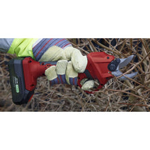 Load image into Gallery viewer, Sealey 2 x 20V SV20 Series Gardening/Pruning Cleaning Combo Kit
