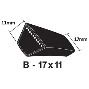 B Section V-Belt