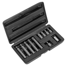 Load image into Gallery viewer, Sealey Spline Bit &amp; Holder Set 11pc - 3/8&quot; Sq Drive (Siegen)
