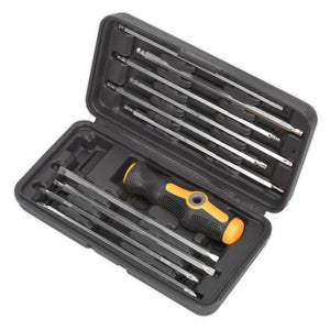 Sealey Screwdriver Set 20-in-1 (Siegen)