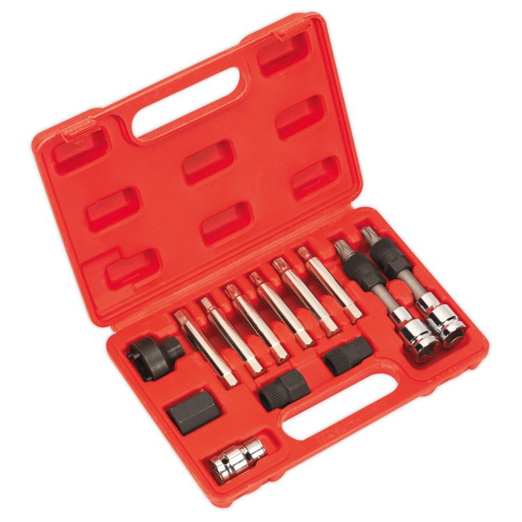 Sealey Alternator Freewheel Removal Set 13pc